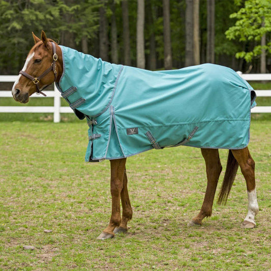 green horse blanket