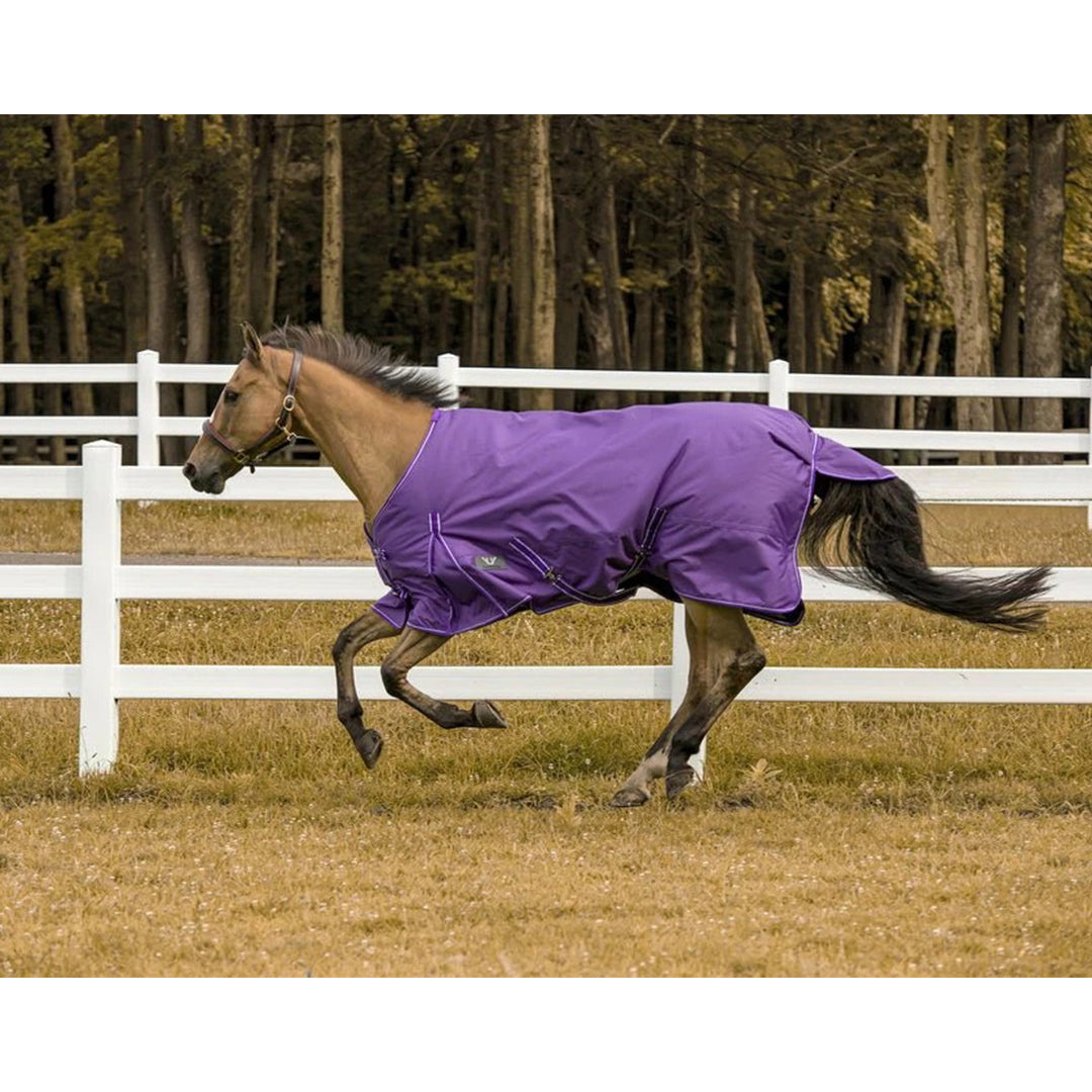 TuffRider 1200 D Comfy Winter Ripstop Turnout Blanket Medium Weight 200 GSM Standard Neck