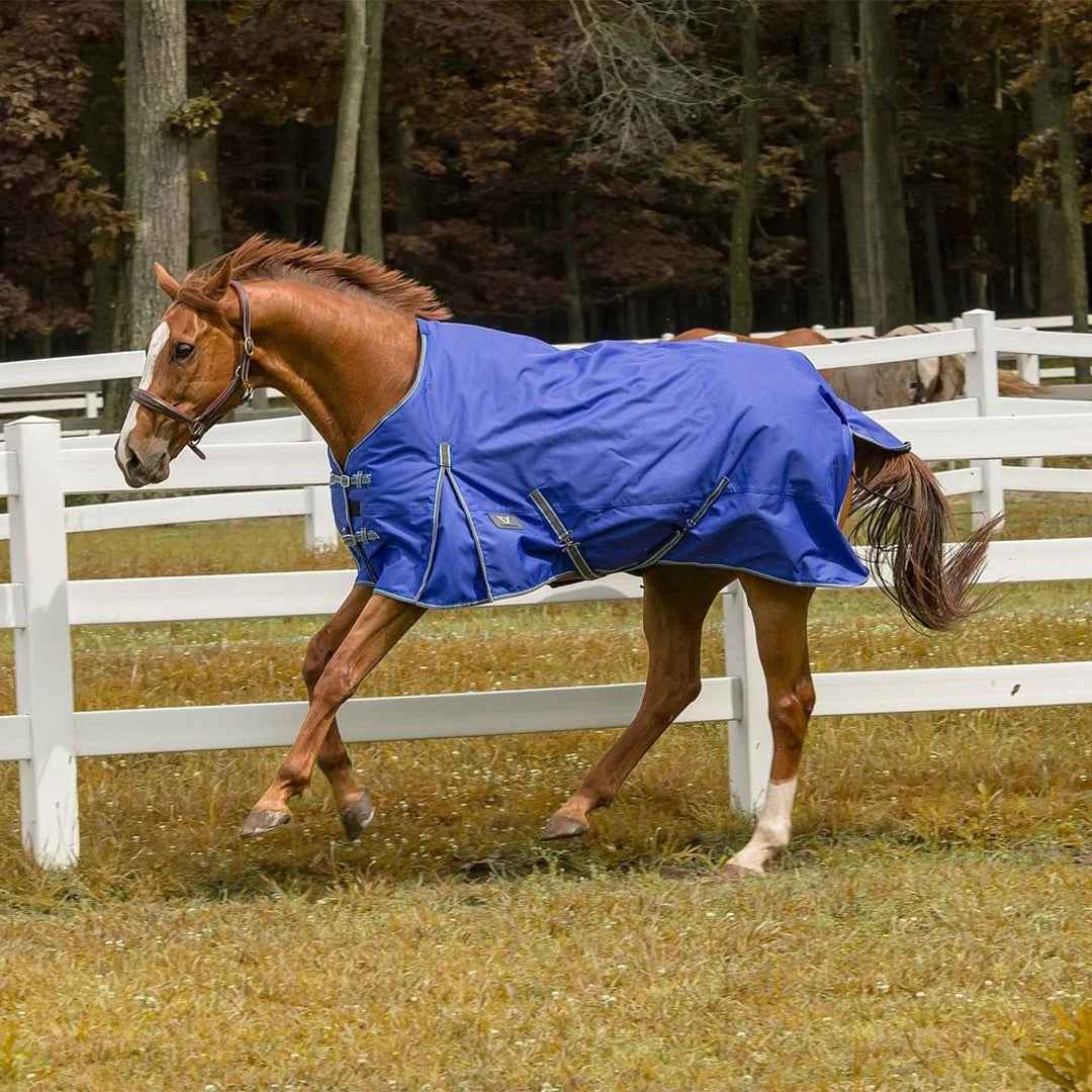 TuffRider 1200 D Comfy Winter Ripstop Turnout Blanket Medium Weight 200 GSM Standard Neck