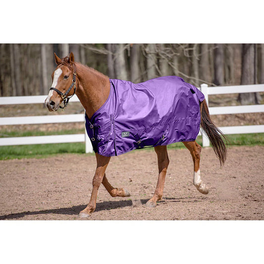 purple horse blanket