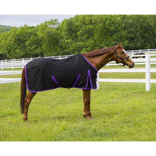 Horse wearing a black blanket with purple trim in a grassy field.