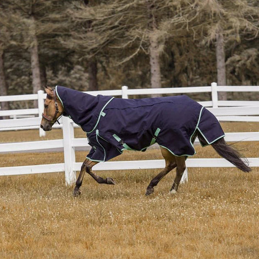 Horse wearing a dark blue blanket with green trim running in a field.