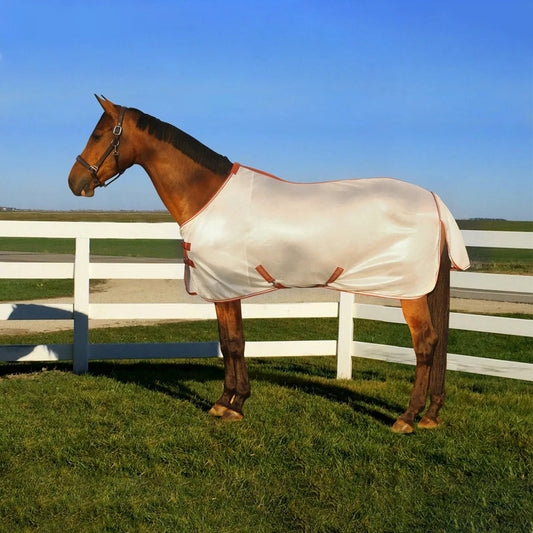 Horse wearing a white fly sheet standing on grass with a blue sky background