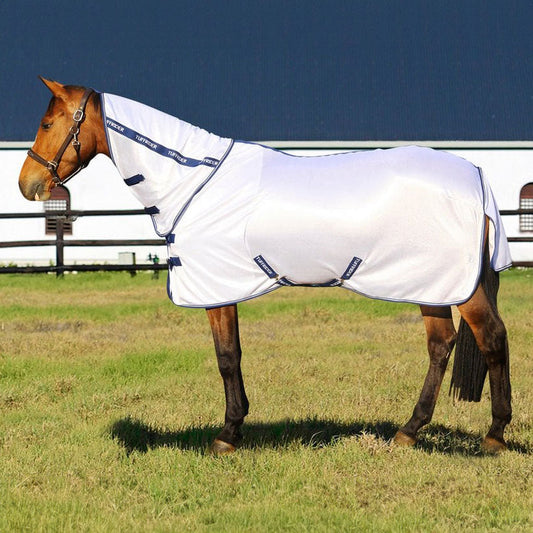 Horse wearing a white fly sheet in an outdoor setting