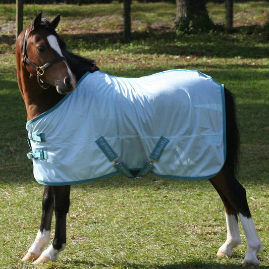 blue fly sheet