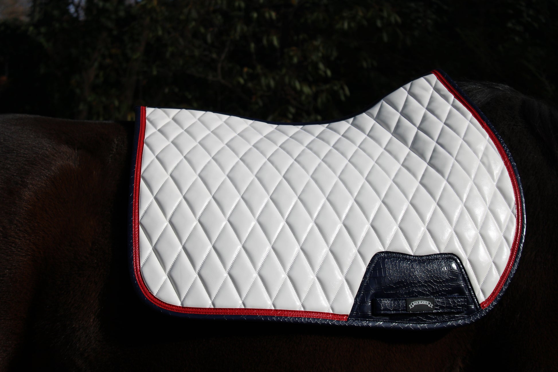 Quilted saddle pad on a horse with a dark background