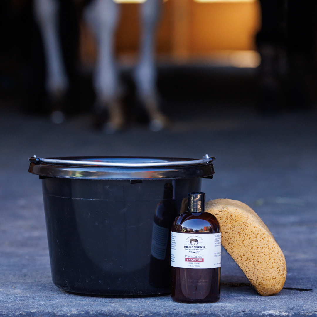 Dr. Hansen's Formula 44 Shampoo