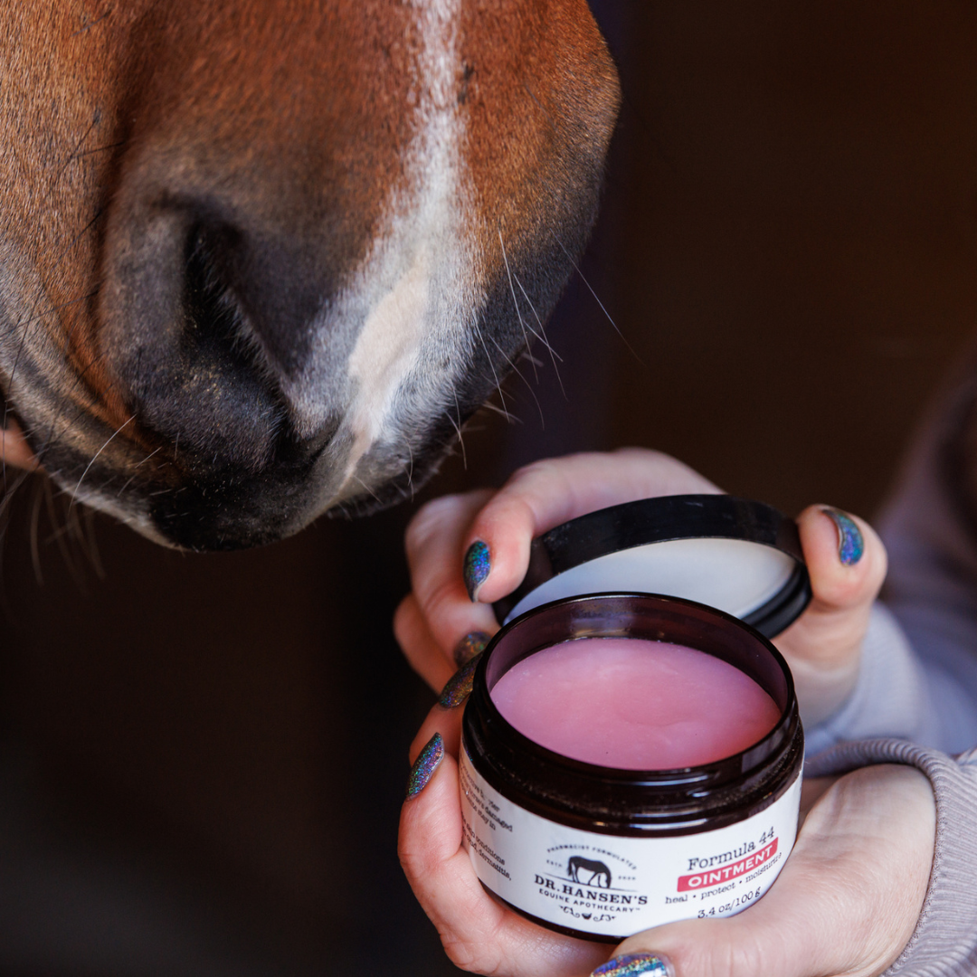 Person holding a jar of pink ointment with a horse's nose close by