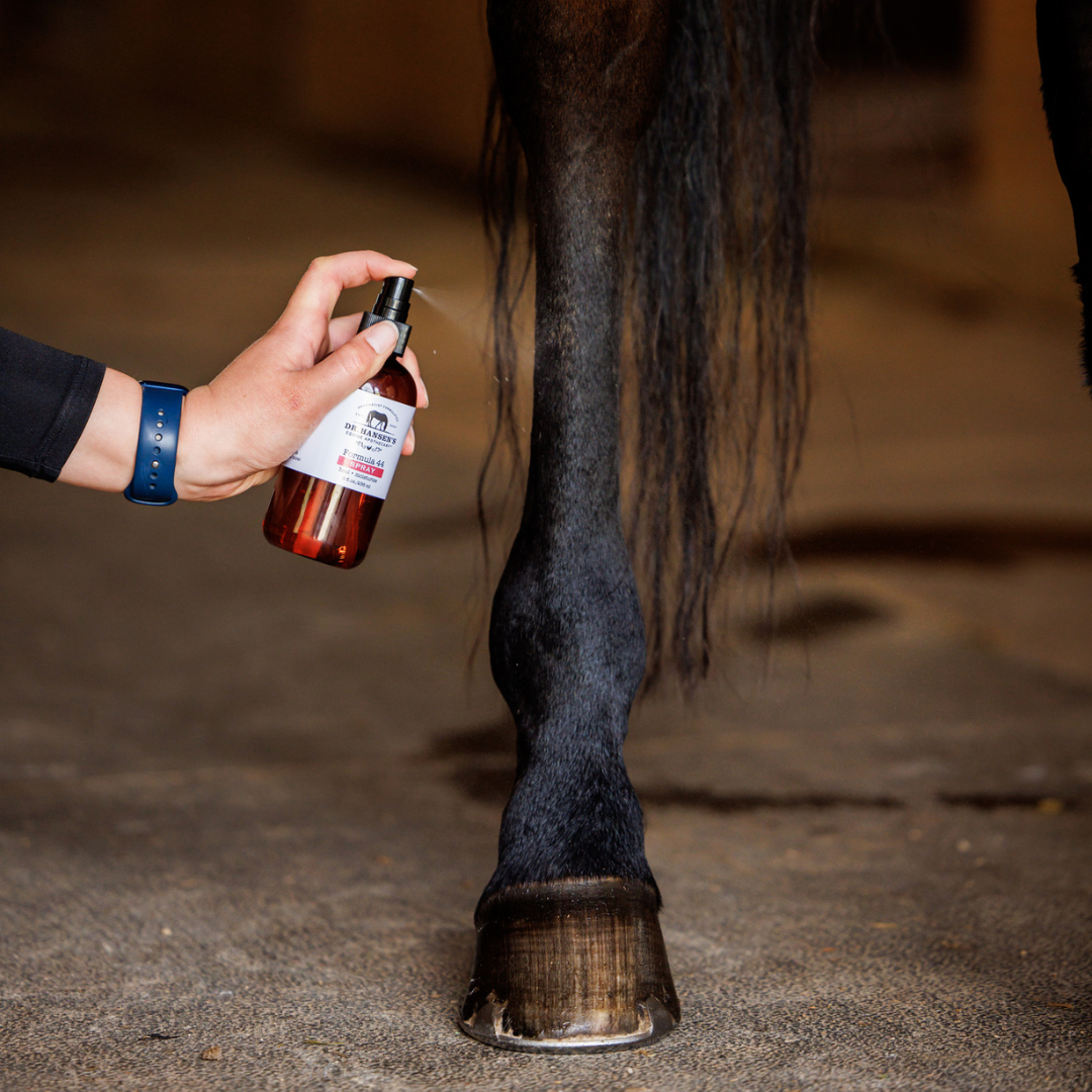 Person applying a product to a horse's leg using a spray bottle.