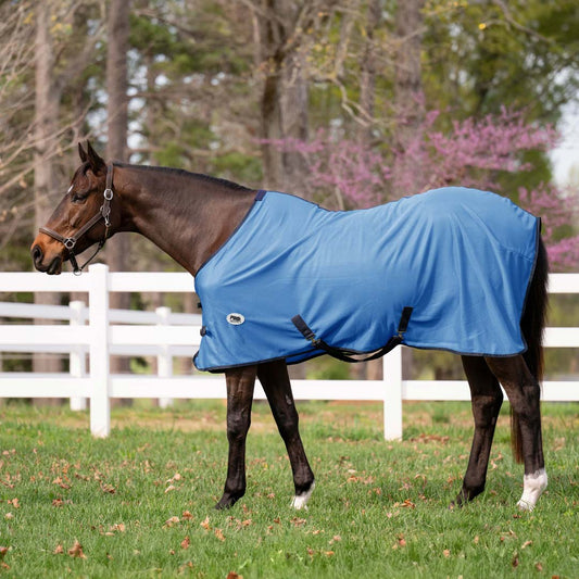 blue fly sheet
