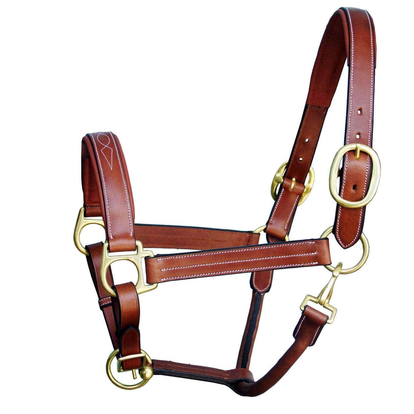 Brown leather horse halter with gold hardware 