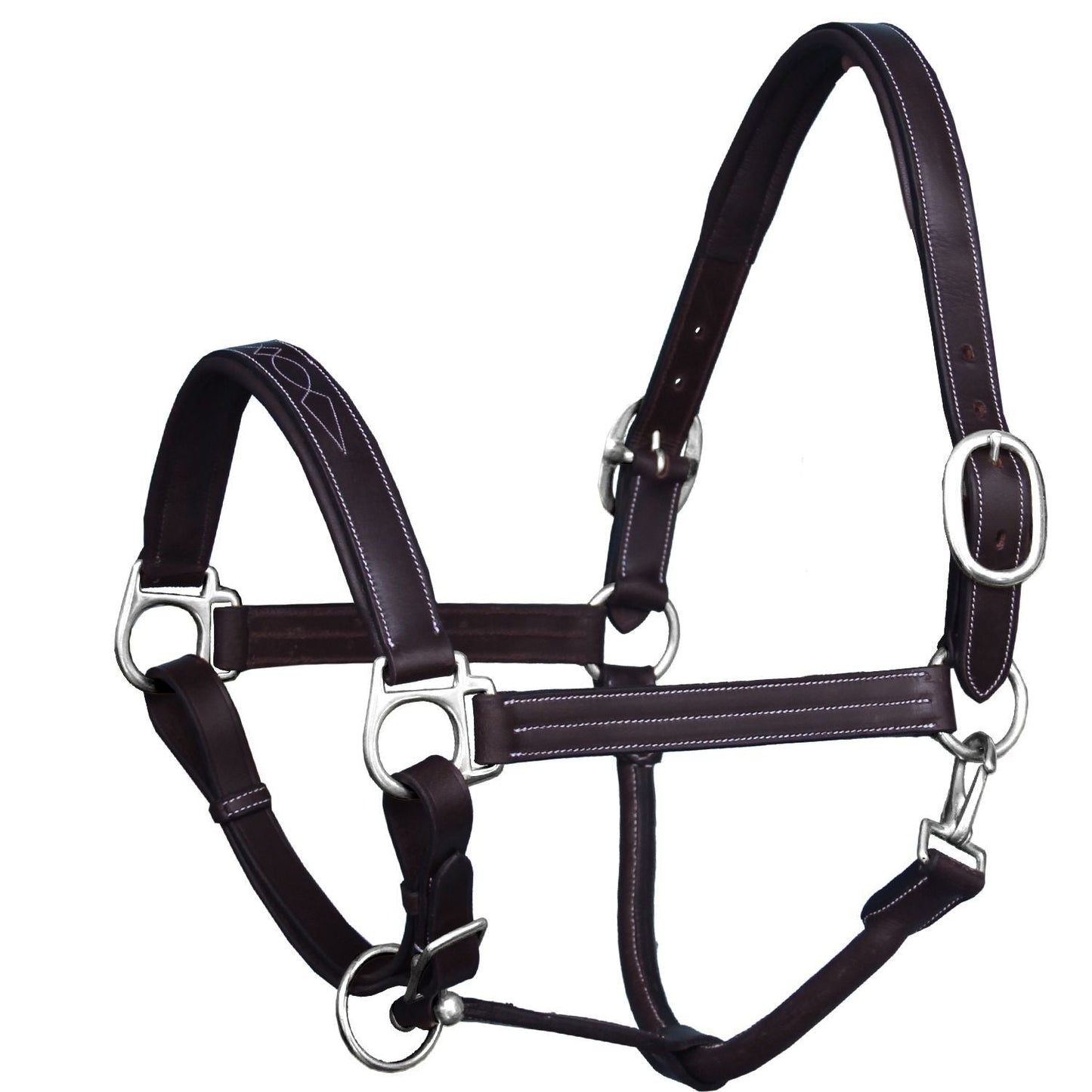 Brown leather horse halter with silver hardware