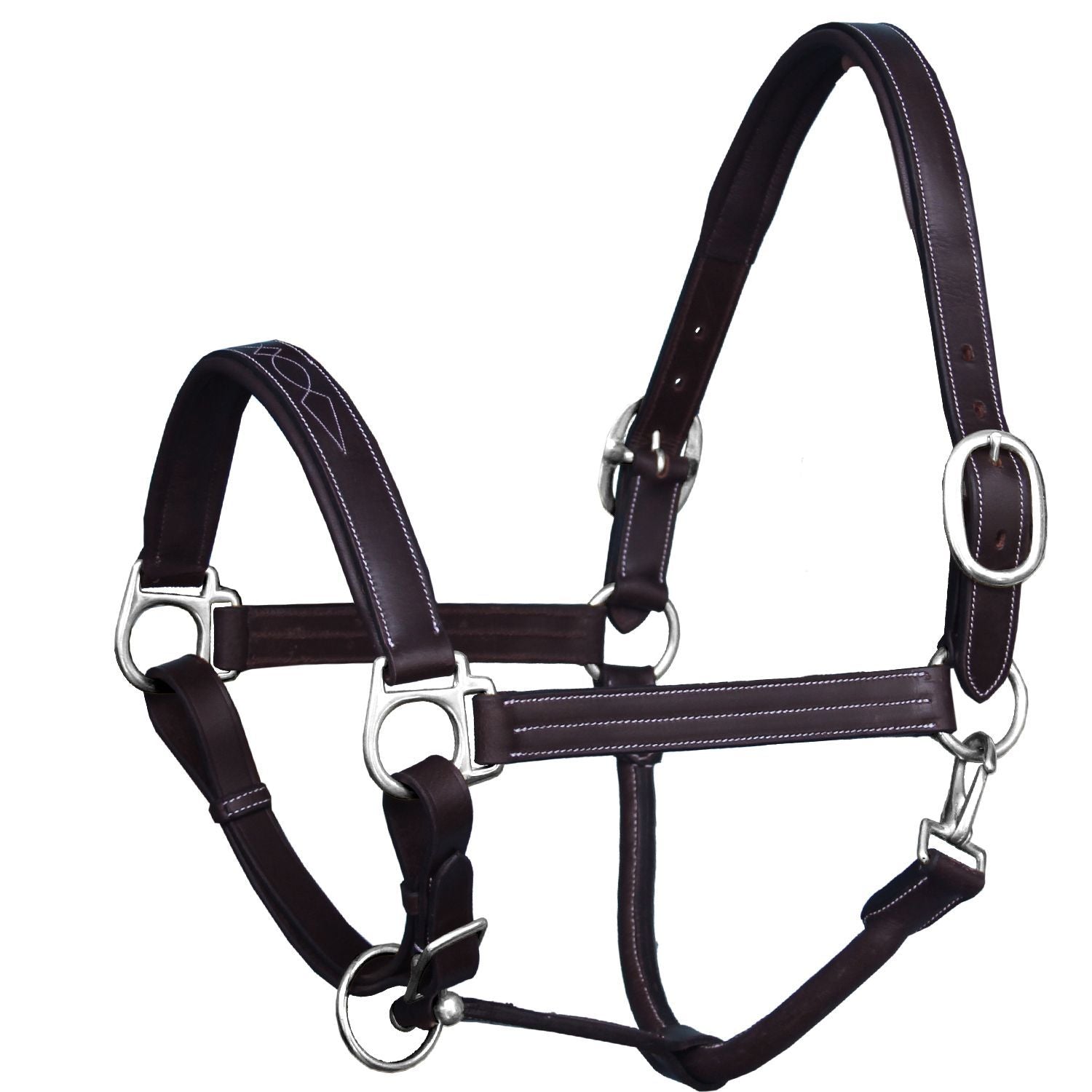 Brown leather horse halter with silver hardware