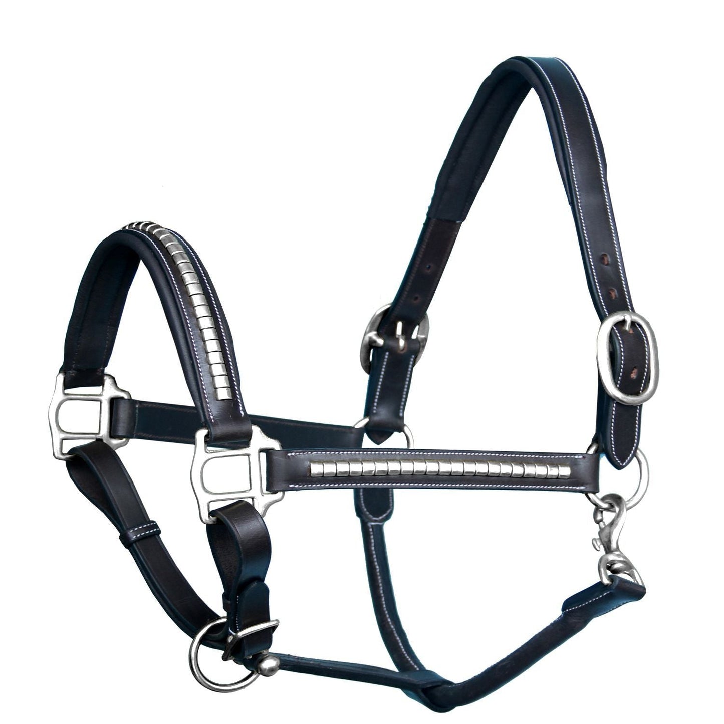 Black leather horse halter with silver hardware 