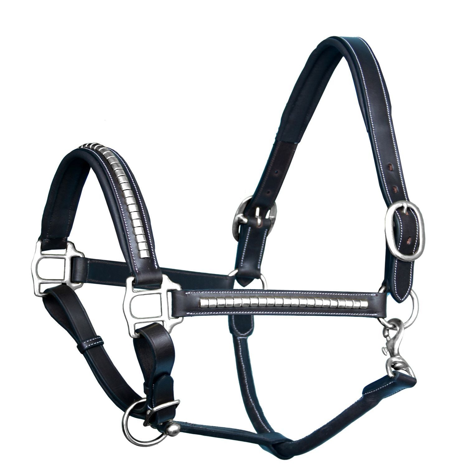 Black leather horse halter with silver hardware 