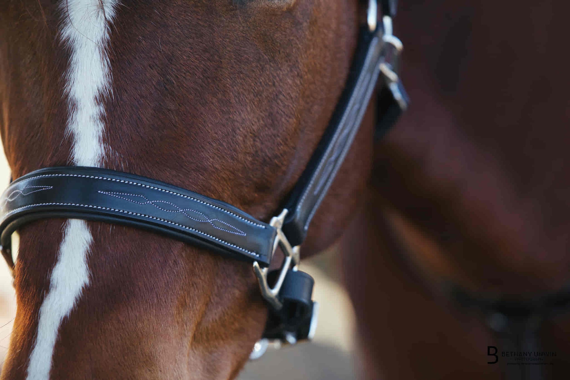 black leather horse bridle