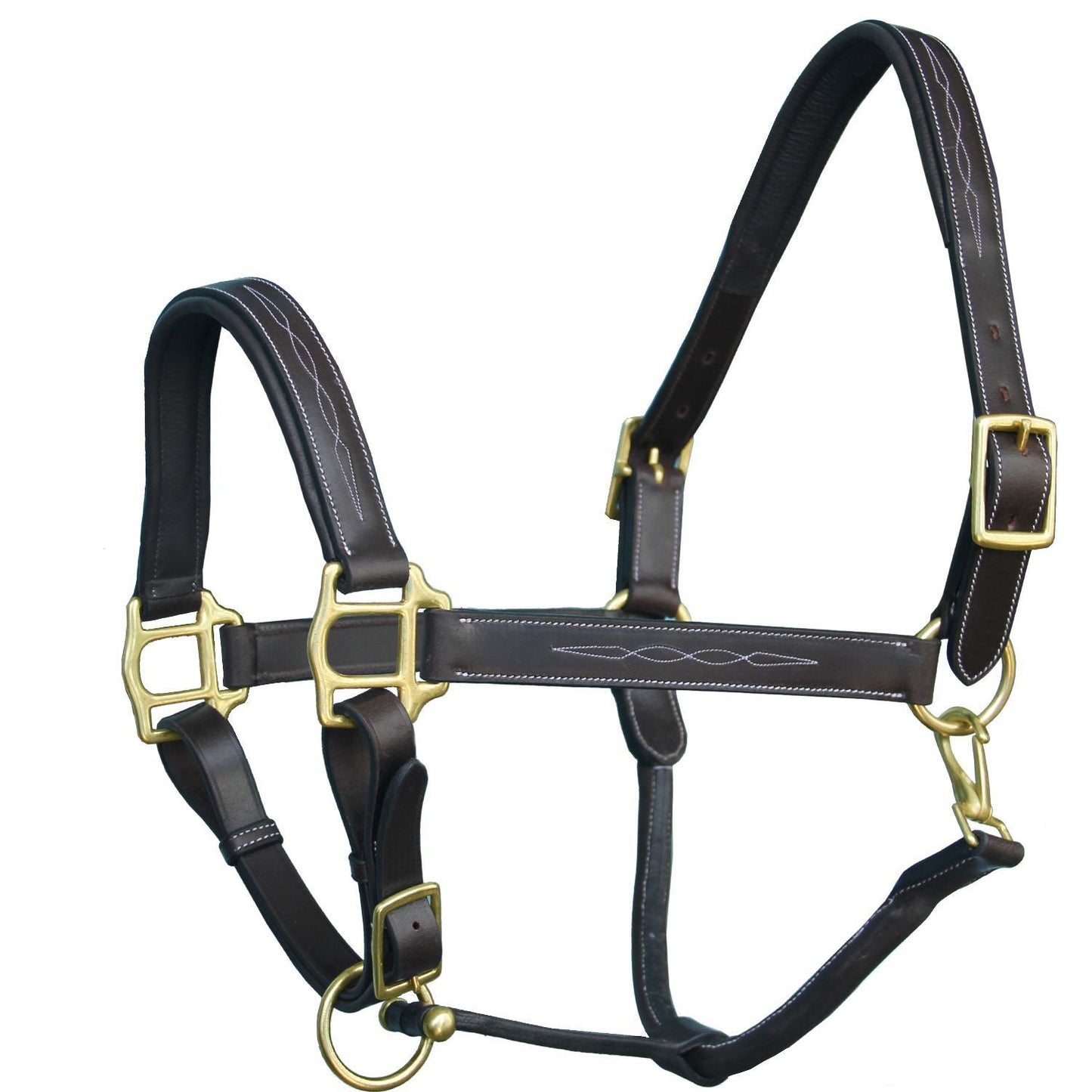 Black leather horse halter with gold hardware 