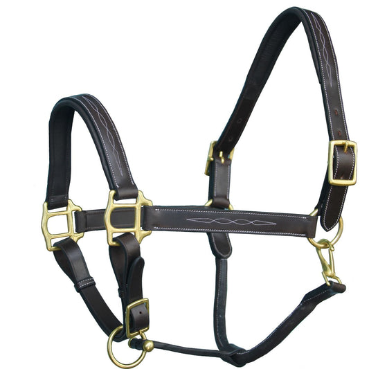 Black leather horse halter with gold hardware 
