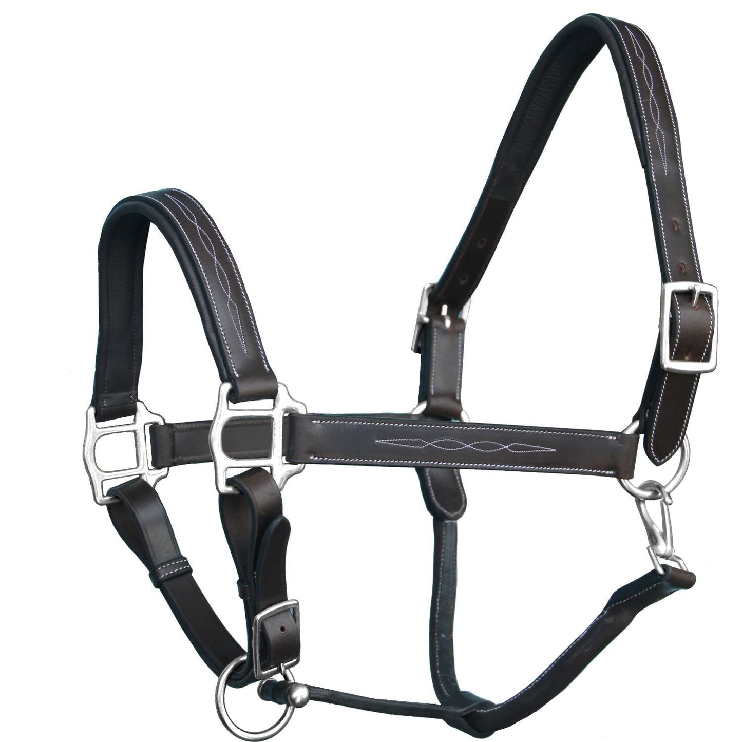 Black leather horse halter with silver hardware