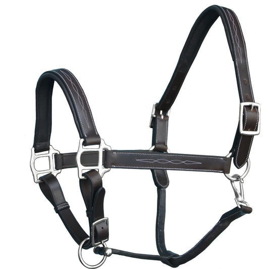 Black leather horse halter with silver hardware