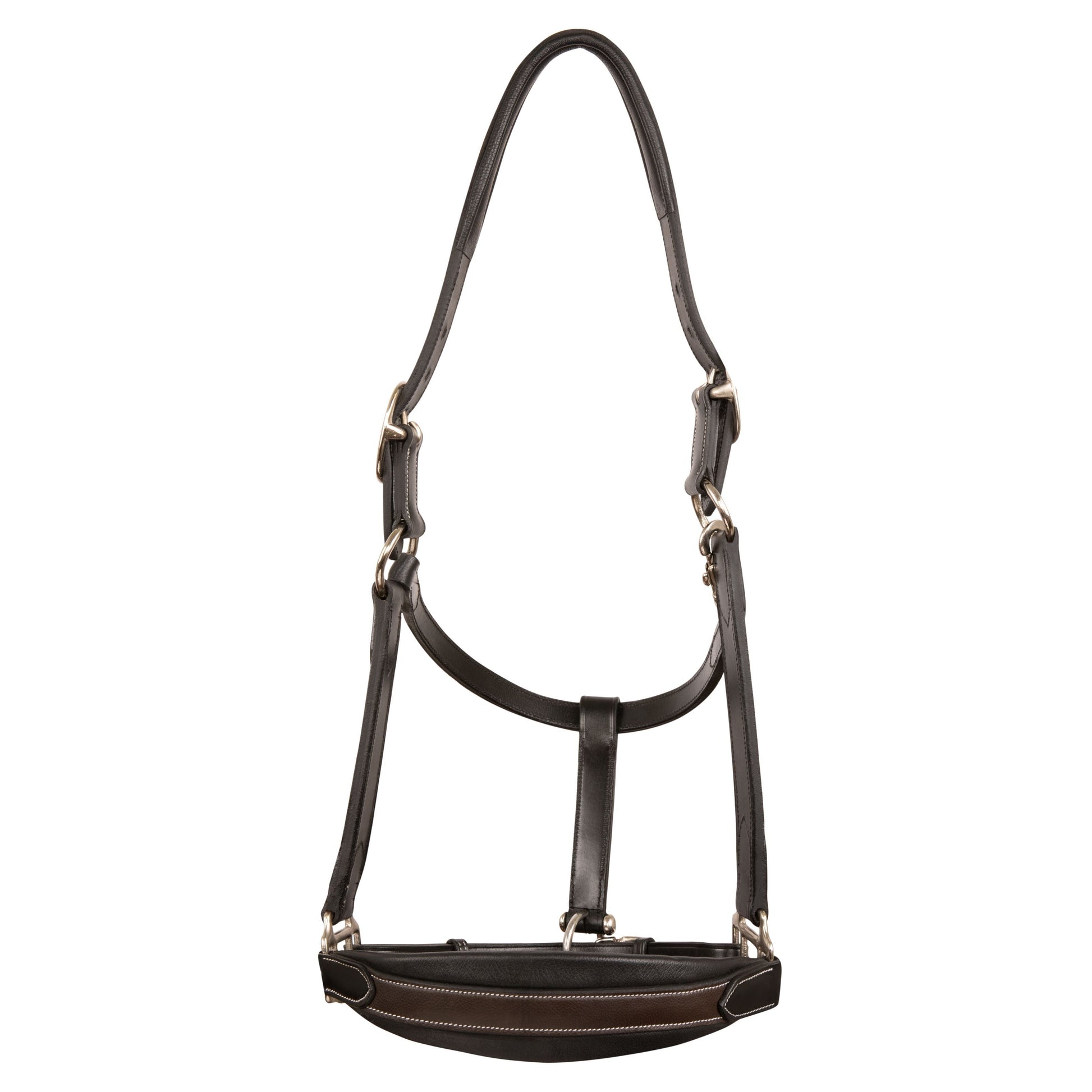 Brown leather horse halter