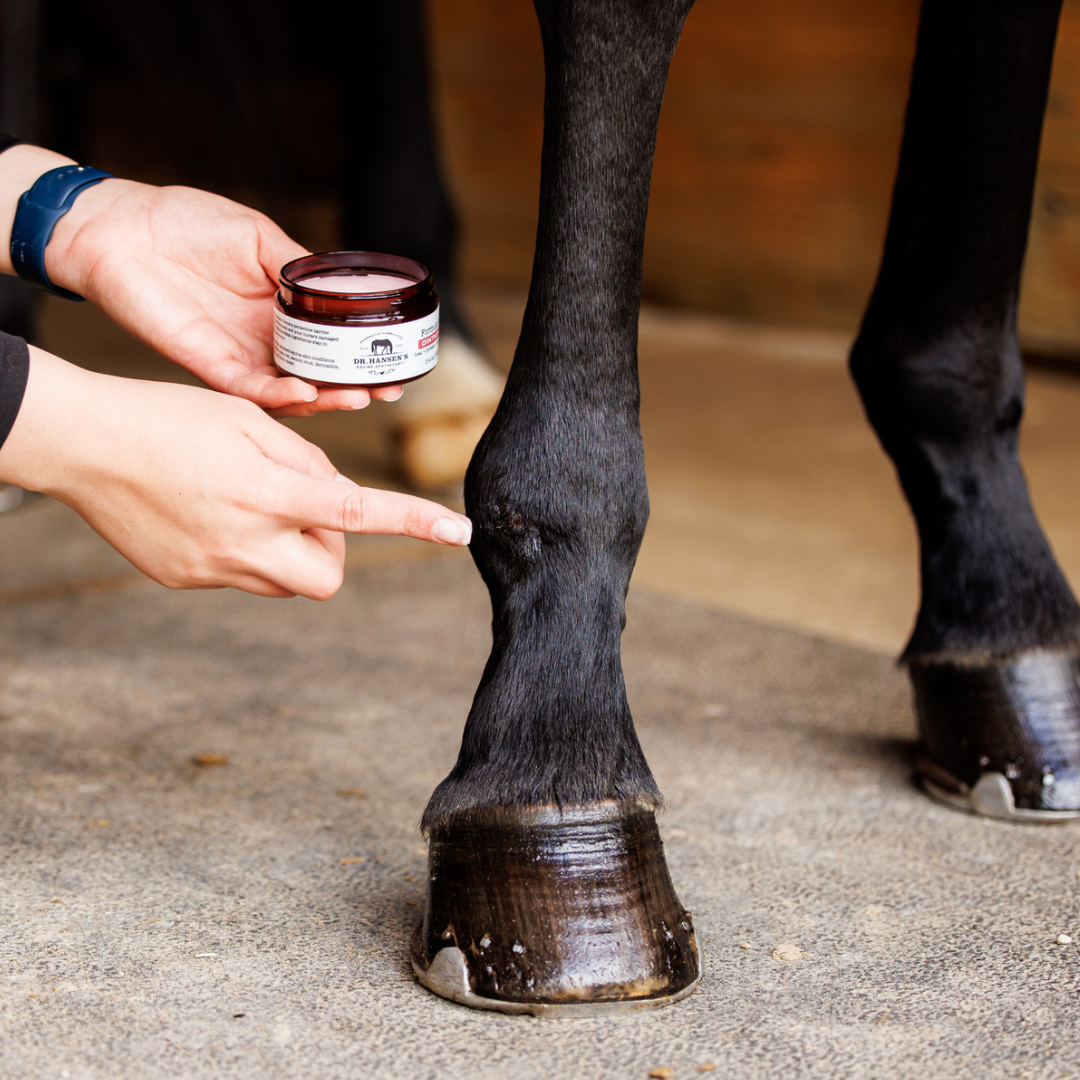 Dr. Hansen's Formula 44 Ointment jar 