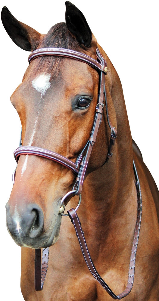brown horse bridle