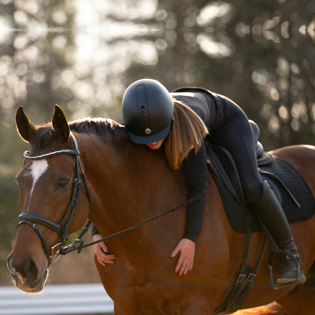 dressage bridle