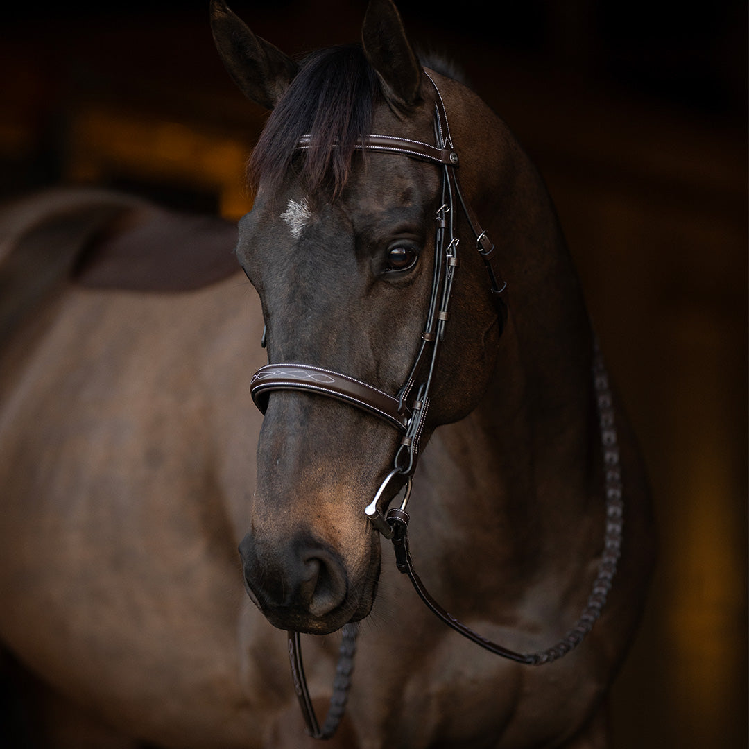 brown leather bridle