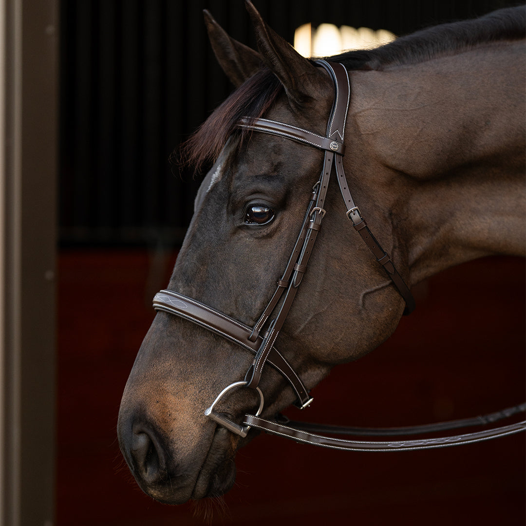 brown leather bridle