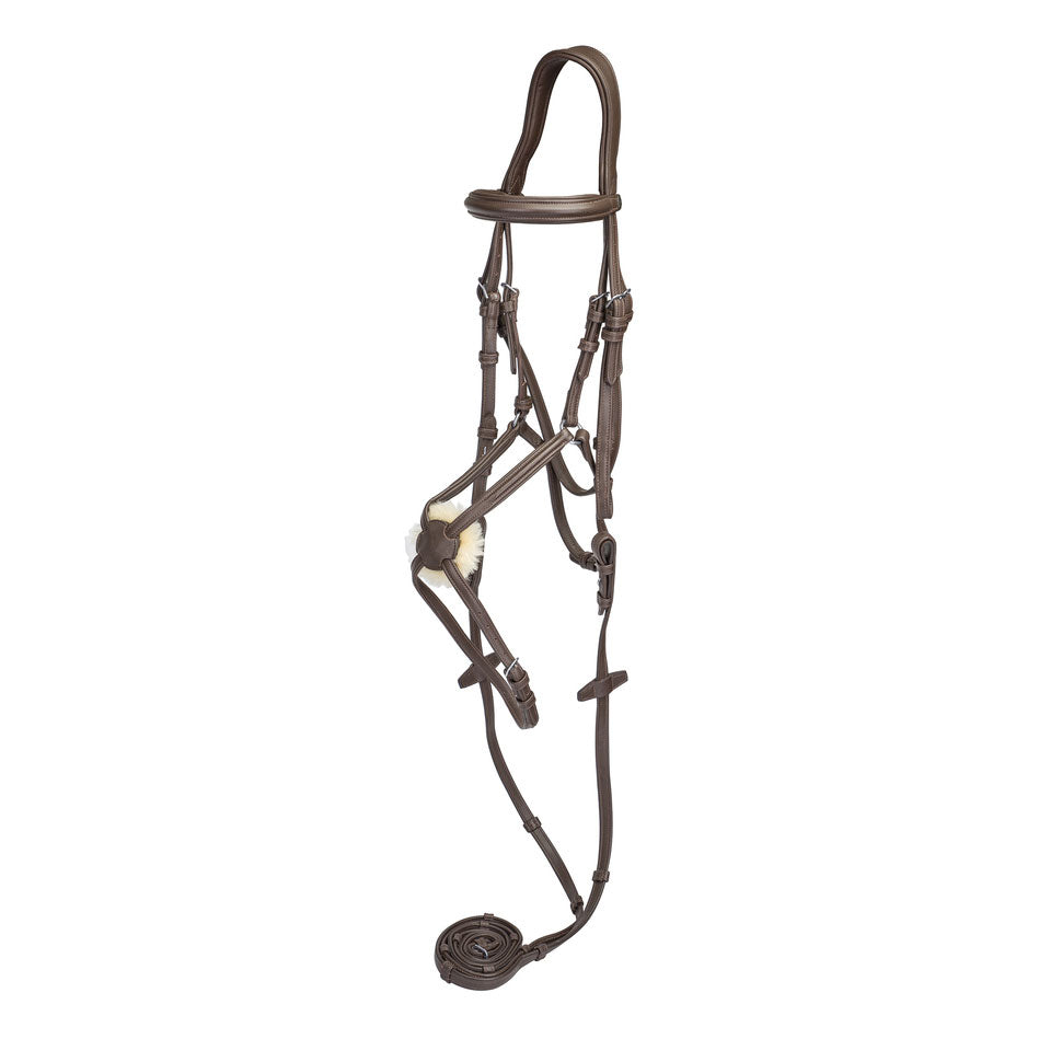raised figure eight horse bridle