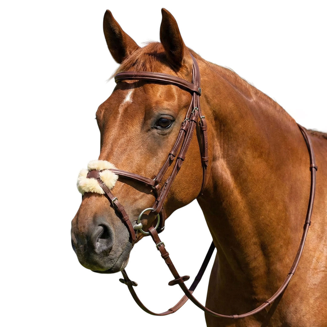 raised figure 8 horse bridle
