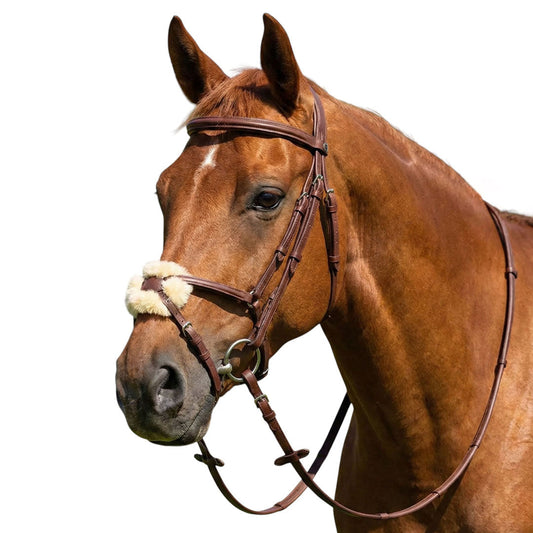 raised figure 8 horse bridle