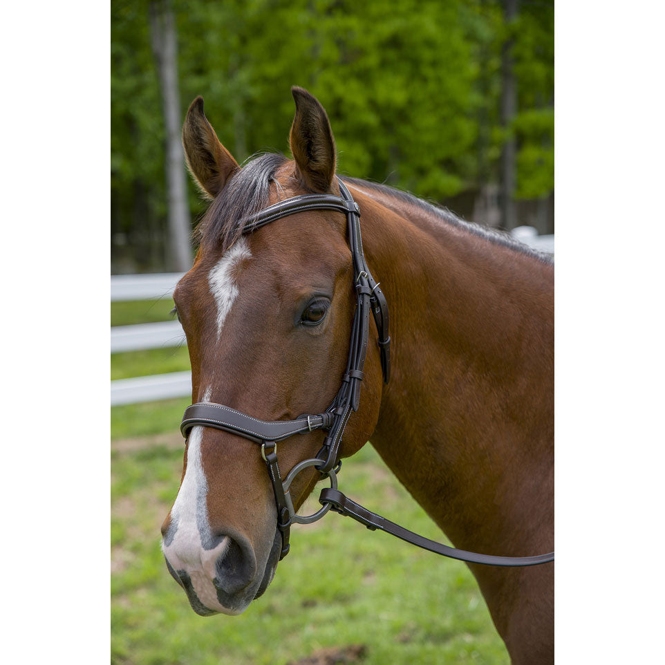 brown leather halter
