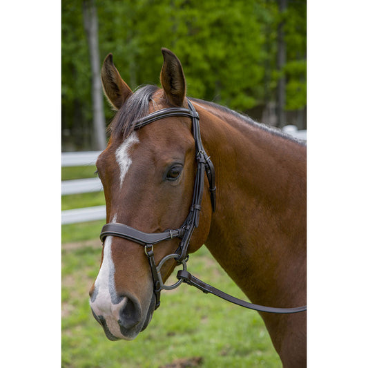 brown leather halter