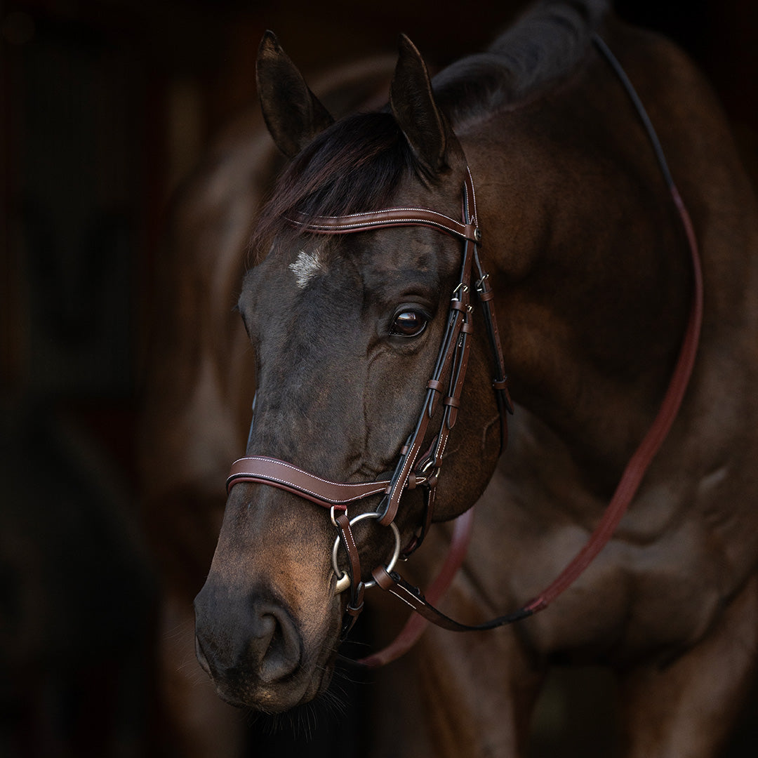 brown leather bridle