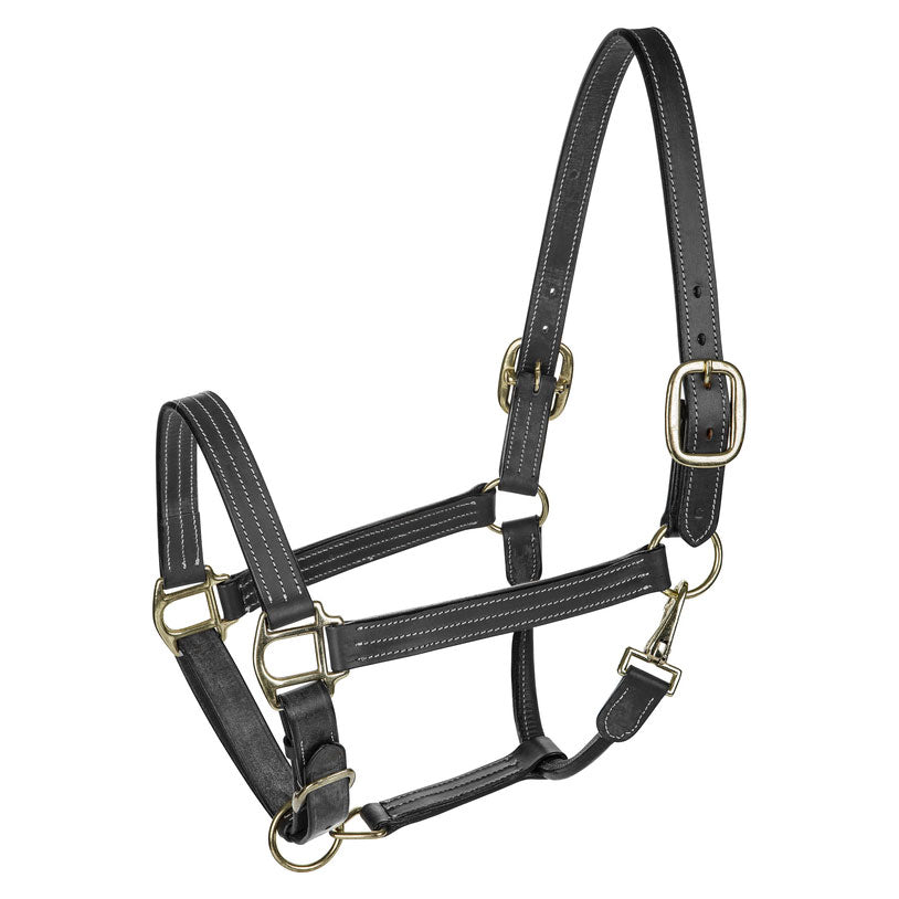 black horse halter