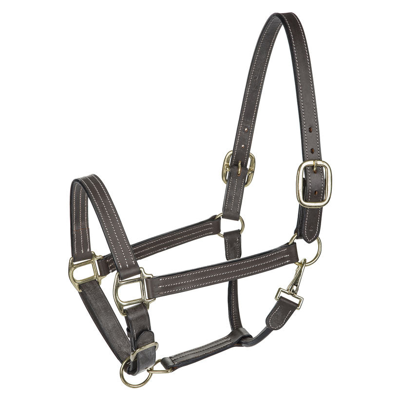 brown horse halter
