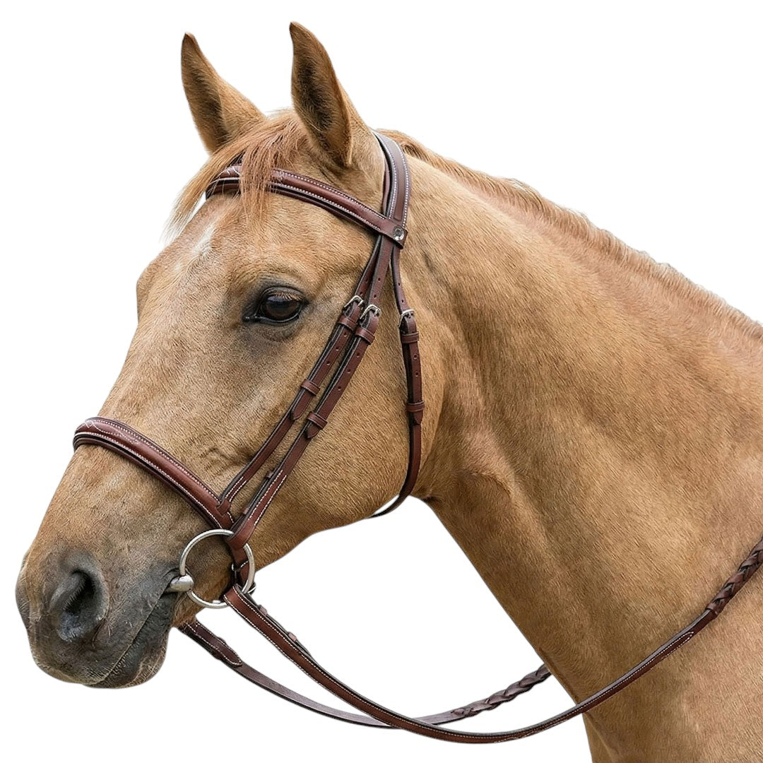 brown horse bridle
