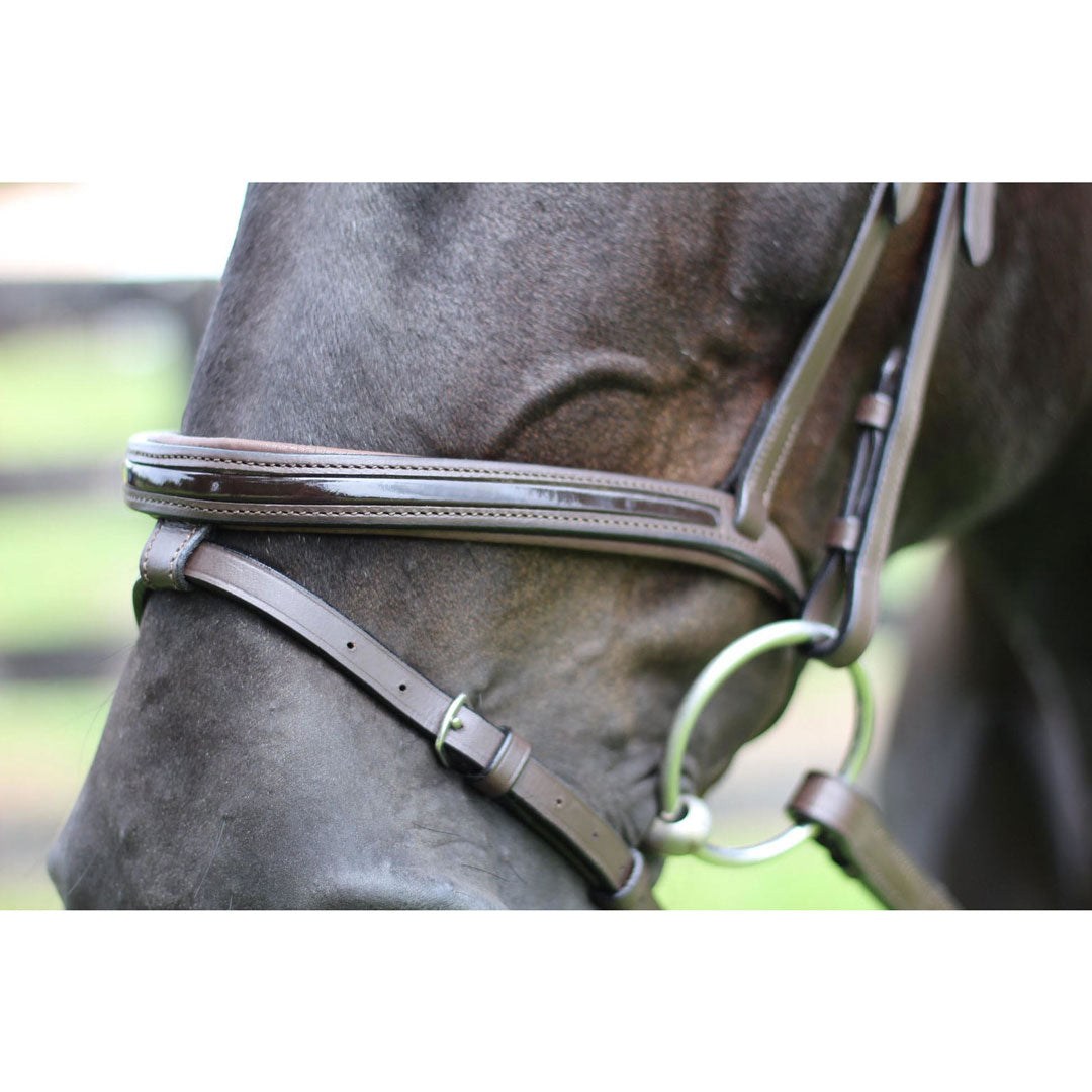 brown horse bridle
