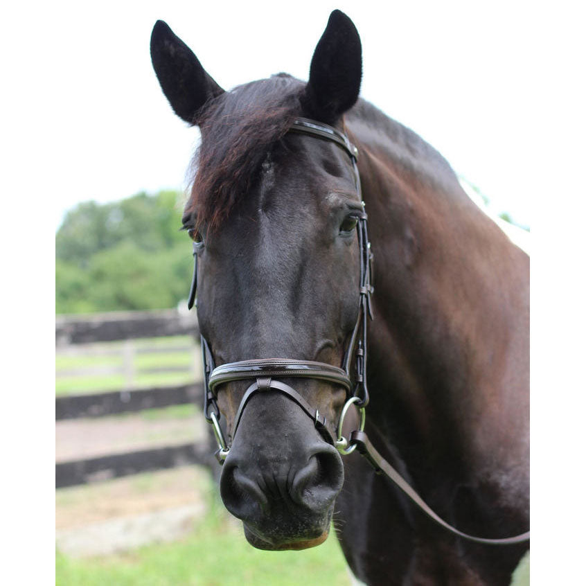 brown horse bridle