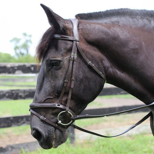 brown horse bridle