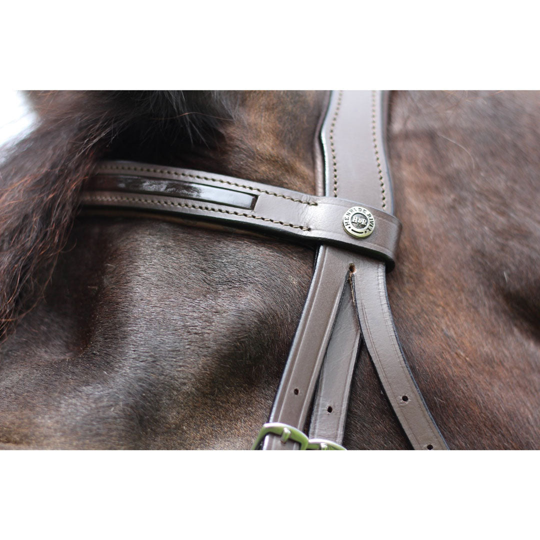 brown horse bridle