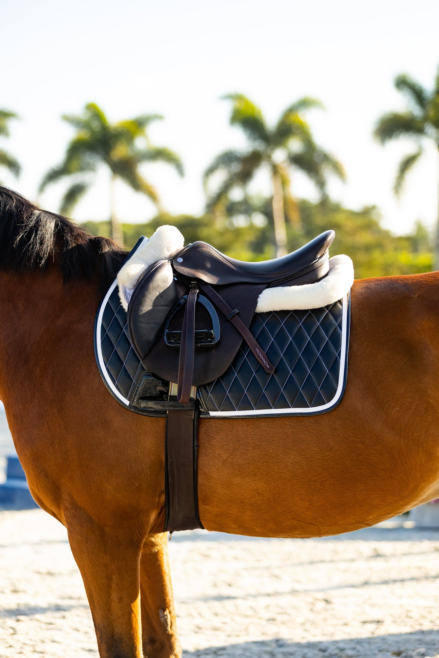 black quilted saddle pad