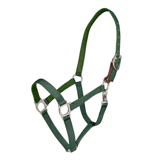 Green horse halter 