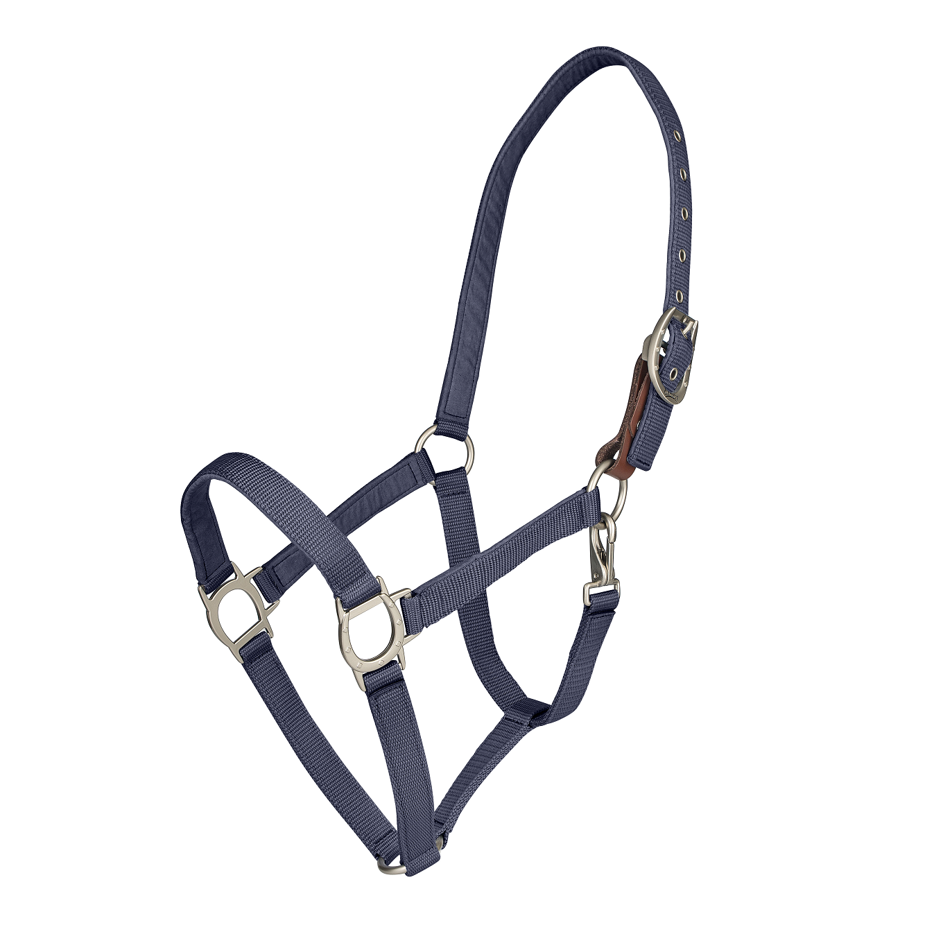Navy blue horse halter 