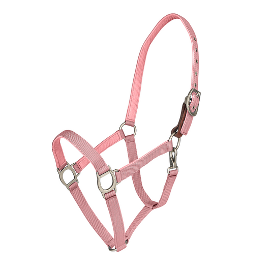 Pink horse halter 