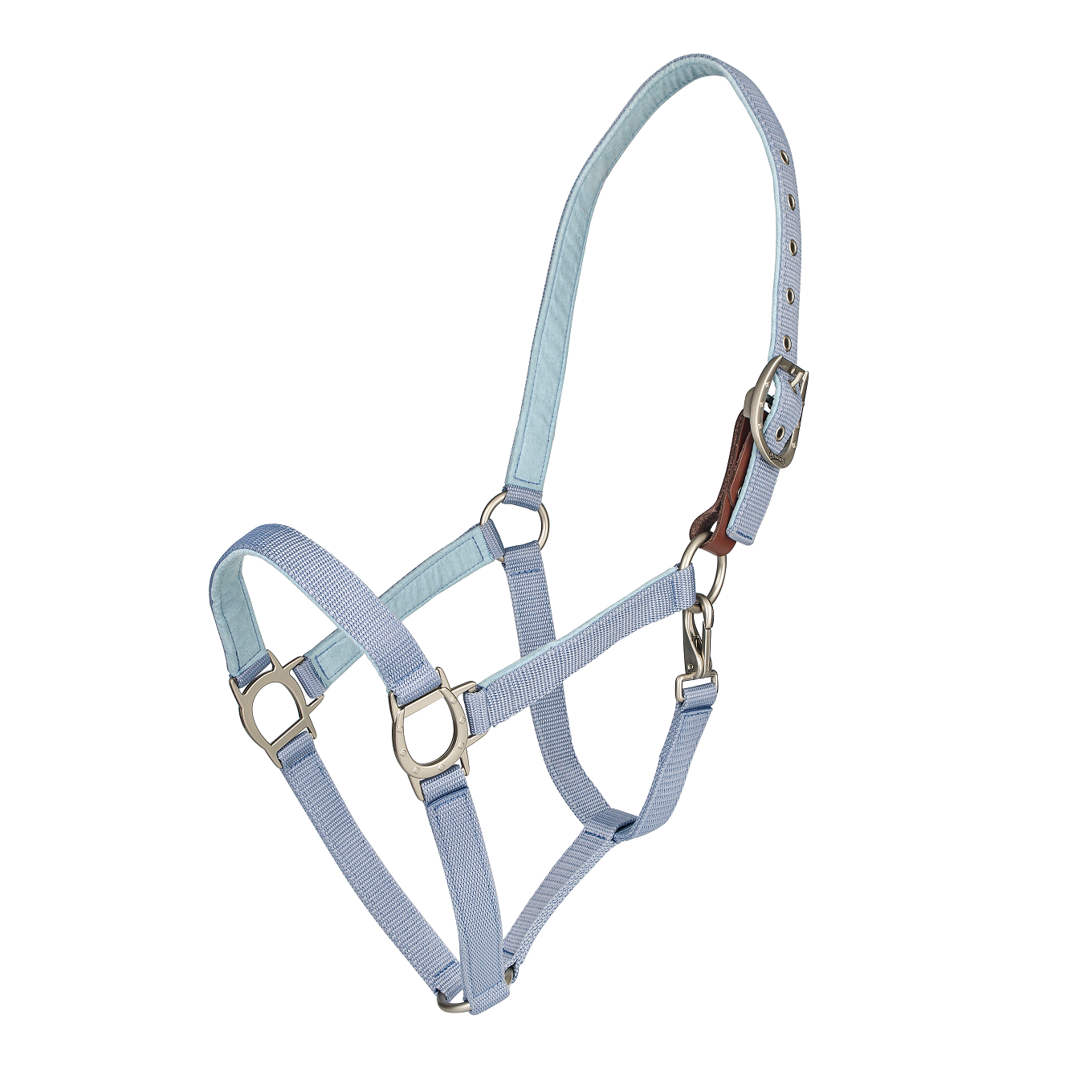 Light blue horse halter 