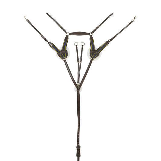 Horse bridle with multiple straps on a white background