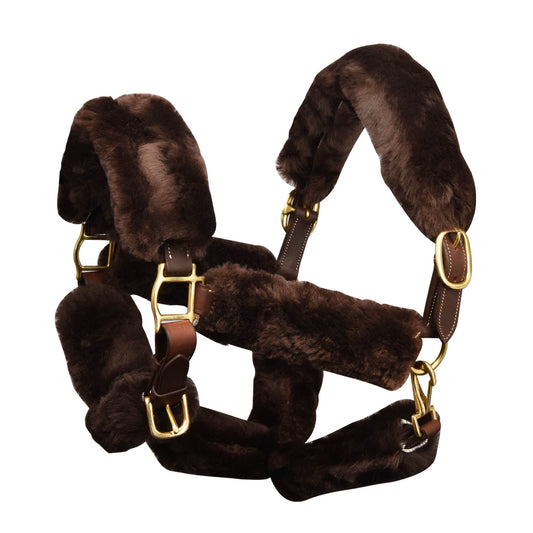 brown halter with sheepskin lining